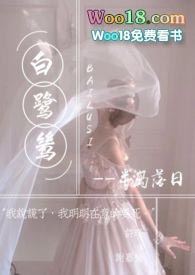 白鷺鷥小说封面